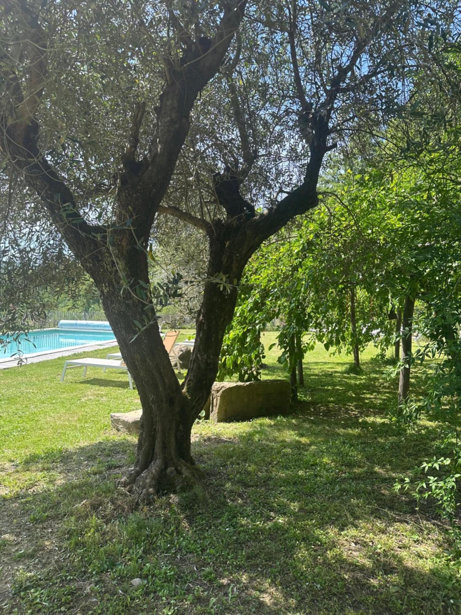 Вилла Collina Di Sopra Tresana Экстерьер фото